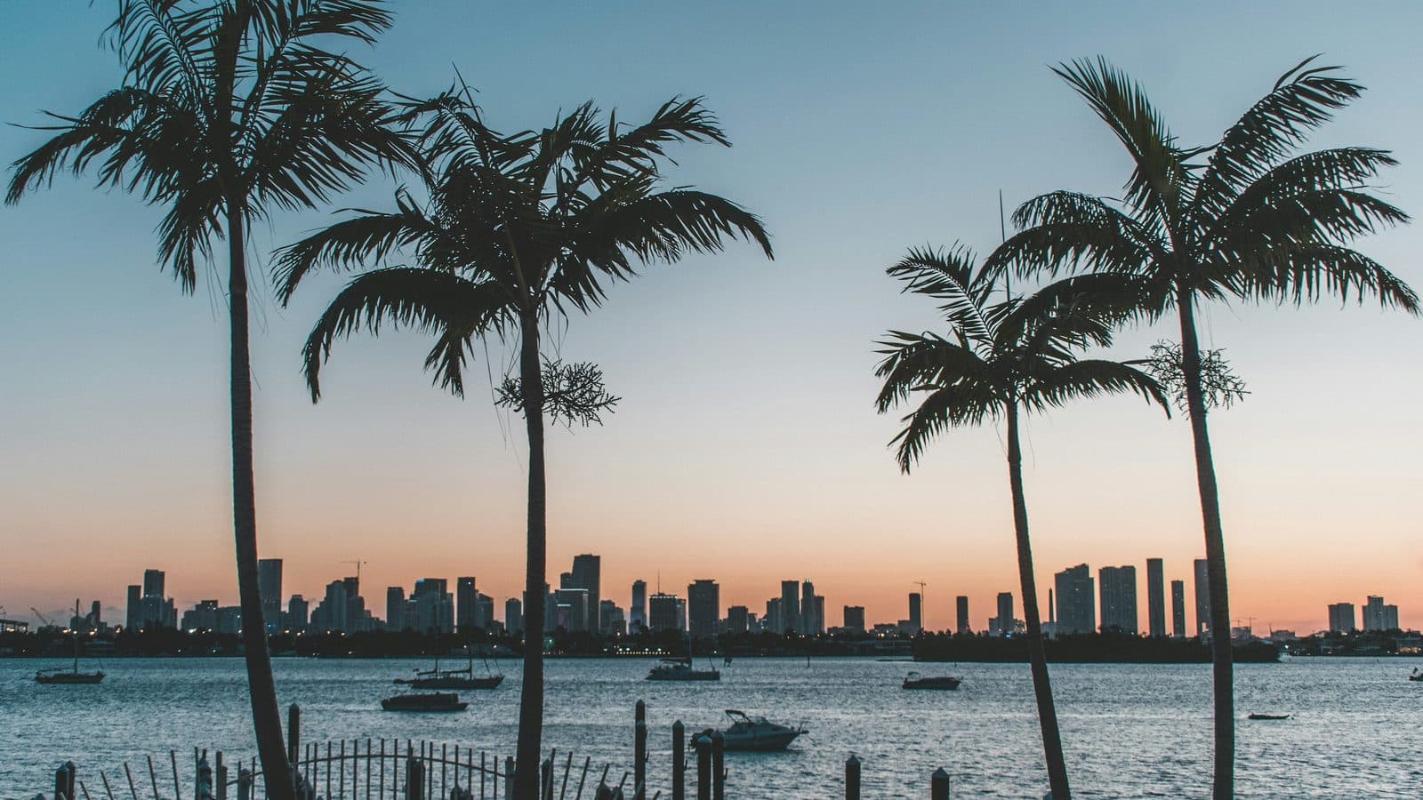 Florida landscape