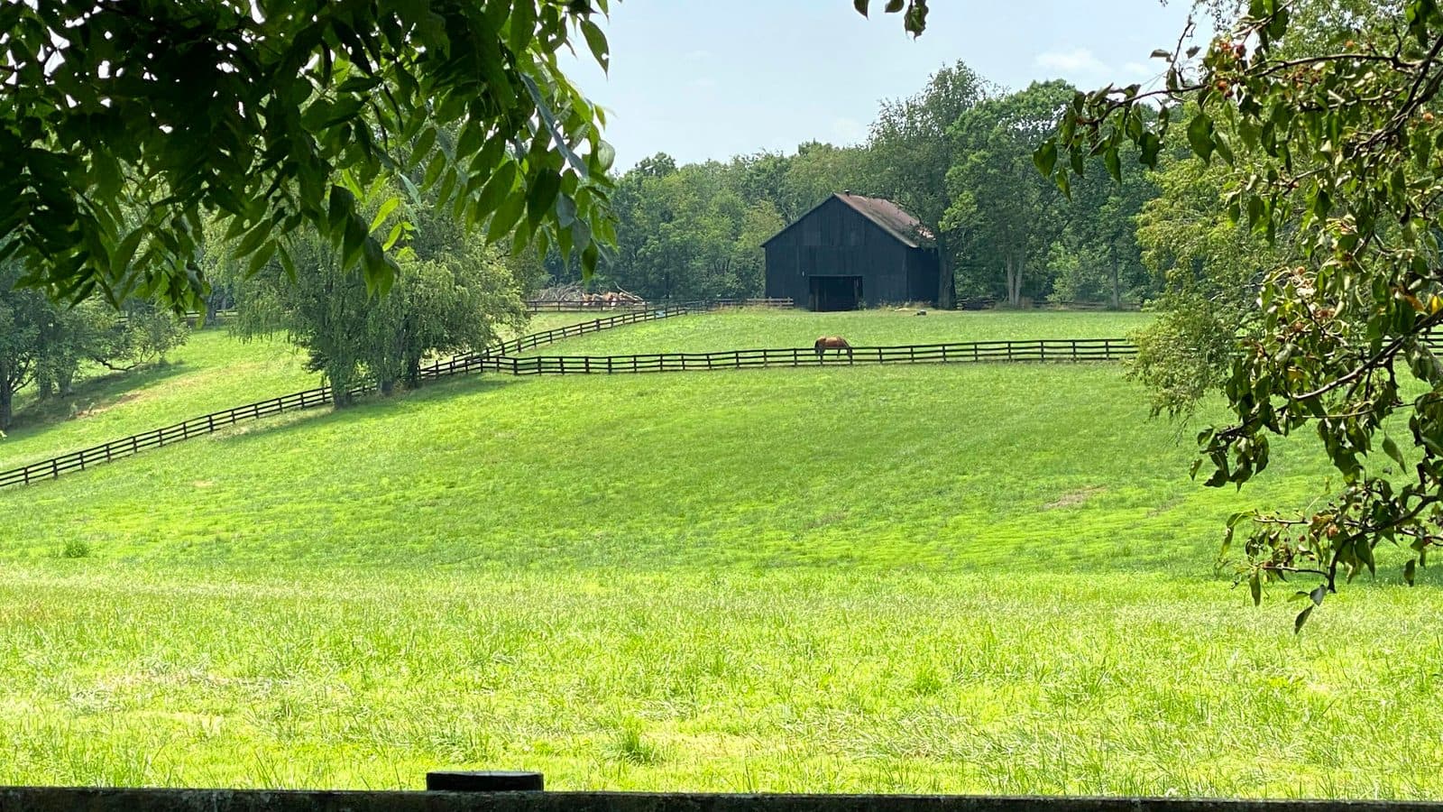 Kentucky landscape