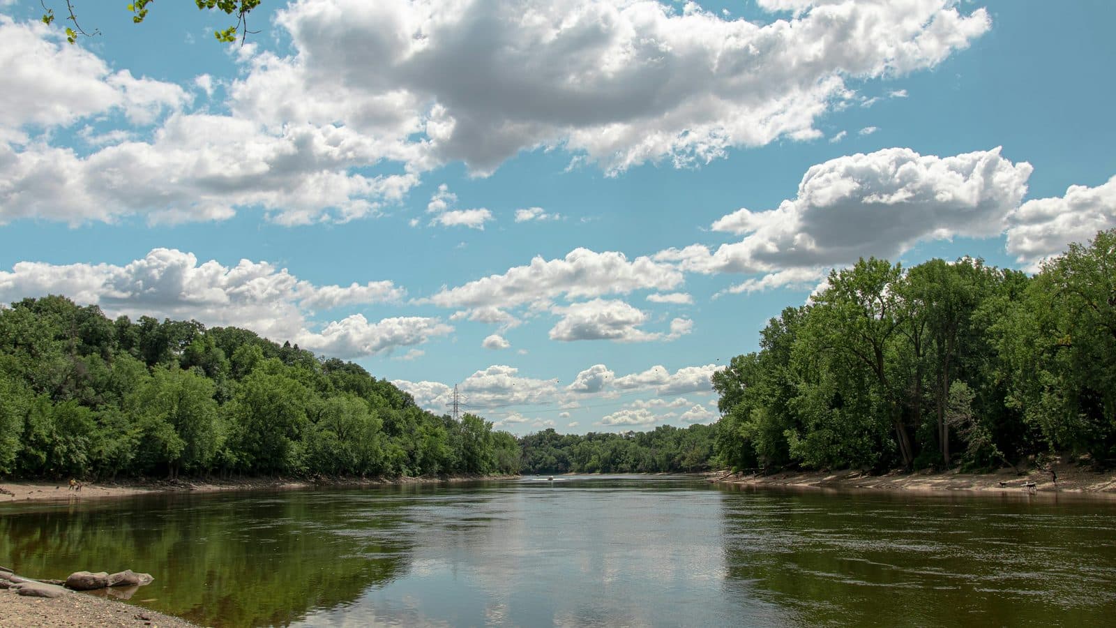 Mississippi landscape