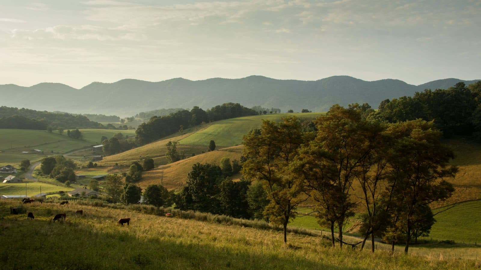 West Virginia landscape