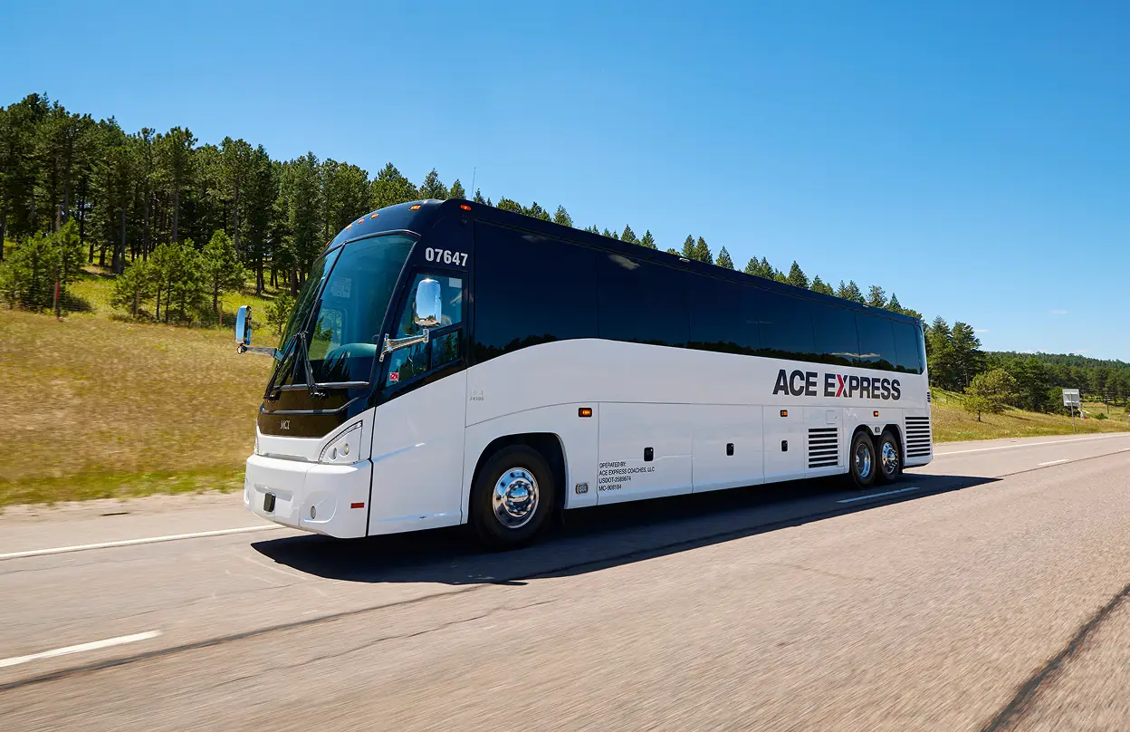 Buses